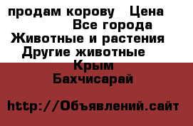 продам корову › Цена ­ 70 000 - Все города Животные и растения » Другие животные   . Крым,Бахчисарай